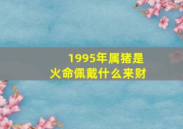 1995年属猪是火命佩戴什么来财