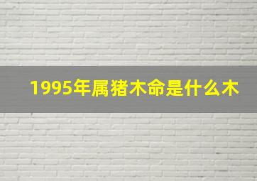 1995年属猪木命是什么木