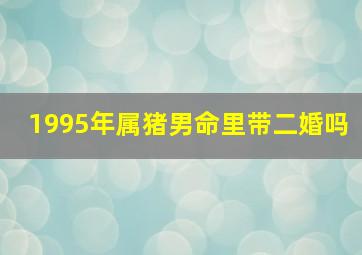 1995年属猪男命里带二婚吗