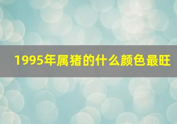 1995年属猪的什么颜色最旺