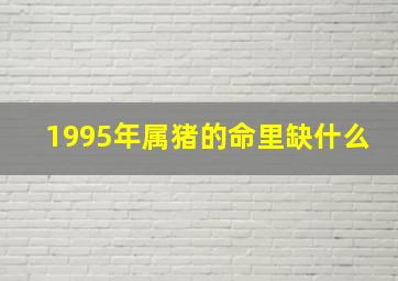 1995年属猪的命里缺什么