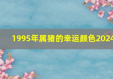 1995年属猪的幸运颜色2024