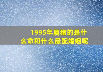 1995年属猪的是什么命和什么最配婚姻呢