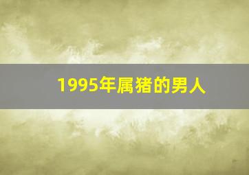 1995年属猪的男人