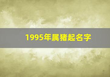 1995年属猪起名字