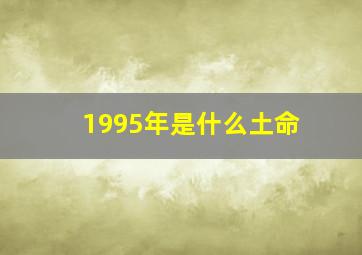 1995年是什么土命