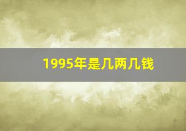 1995年是几两几钱