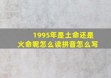 1995年是土命还是火命呢怎么读拼音怎么写