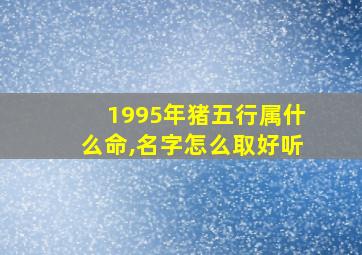 1995年猪五行属什么命,名字怎么取好听