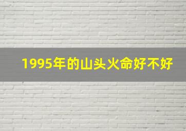 1995年的山头火命好不好