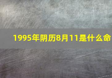 1995年阴历8月11是什么命