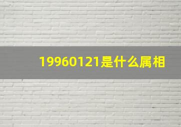 19960121是什么属相