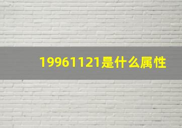 19961121是什么属性