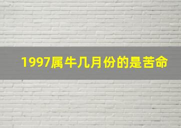 1997属牛几月份的是苦命