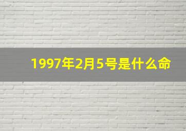 1997年2月5号是什么命