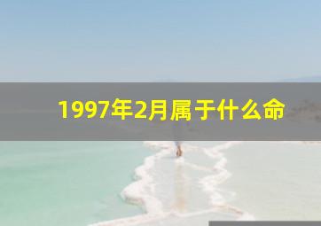 1997年2月属于什么命