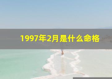 1997年2月是什么命格