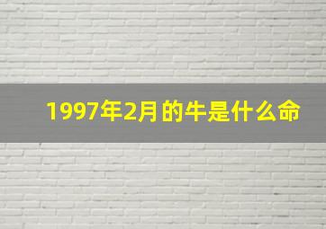 1997年2月的牛是什么命