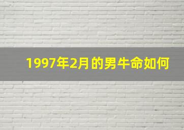 1997年2月的男牛命如何