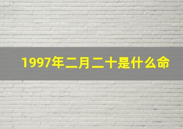 1997年二月二十是什么命