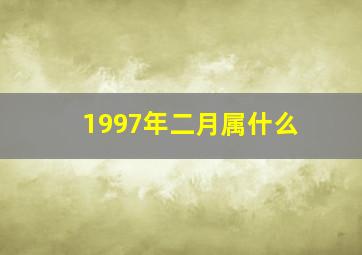 1997年二月属什么