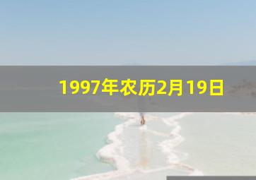 1997年农历2月19日