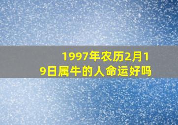 1997年农历2月19日属牛的人命运好吗