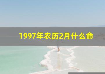 1997年农历2月什么命