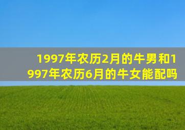 1997年农历2月的牛男和1997年农历6月的牛女能配吗