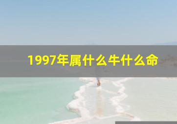 1997年属什么牛什么命