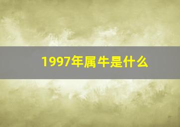 1997年属牛是什么