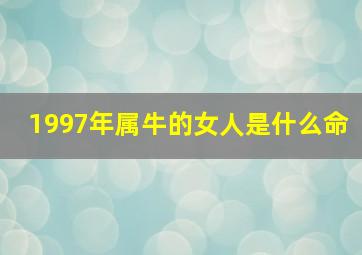 1997年属牛的女人是什么命