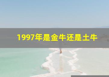 1997年是金牛还是土牛