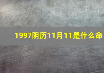 1997阴历11月11是什么命