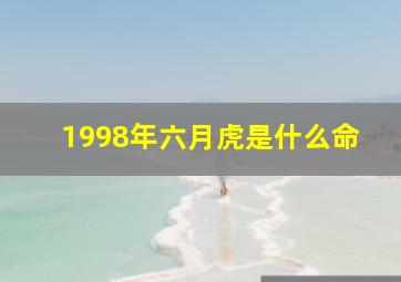 1998年六月虎是什么命