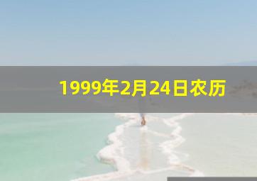 1999年2月24日农历