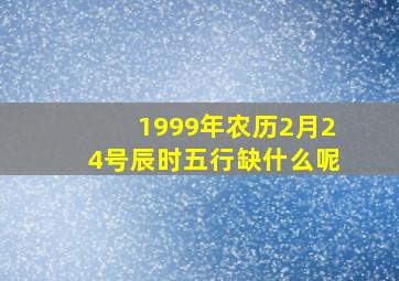 1999年农历2月24号辰时五行缺什么呢