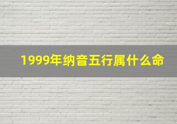 1999年纳音五行属什么命