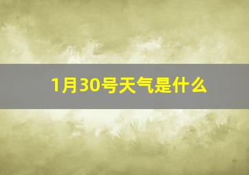 1月30号天气是什么