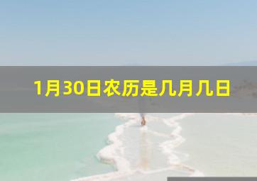 1月30日农历是几月几日