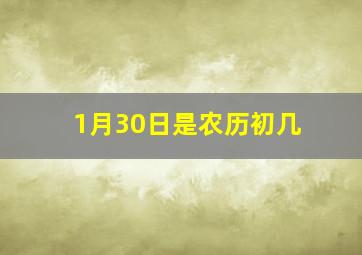 1月30日是农历初几