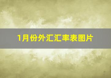 1月份外汇汇率表图片