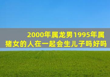 2000年属龙男1995年属猪女的人在一起会生儿子吗好吗