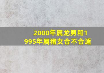 2000年属龙男和1995年属猪女合不合适