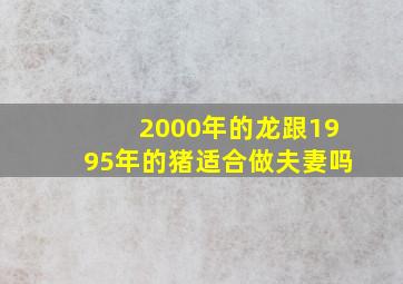 2000年的龙跟1995年的猪适合做夫妻吗