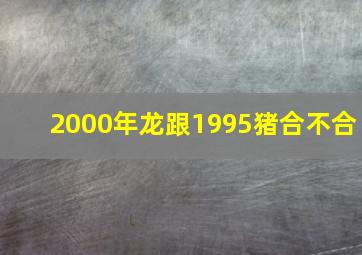 2000年龙跟1995猪合不合