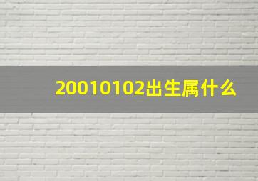 20010102出生属什么