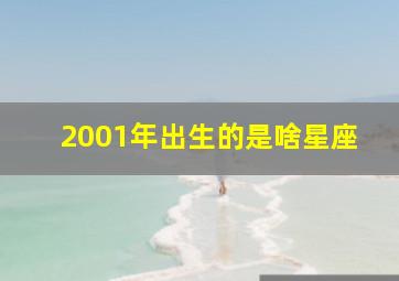 2001年出生的是啥星座