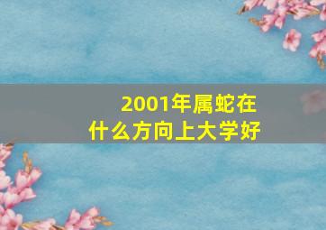 2001年属蛇在什么方向上大学好