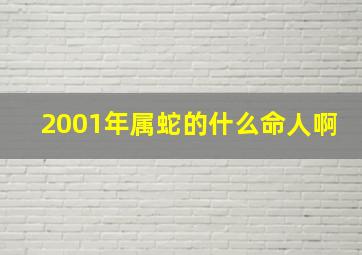 2001年属蛇的什么命人啊